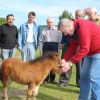 Voľnočasové aktivity našich klientov - IMG_1283