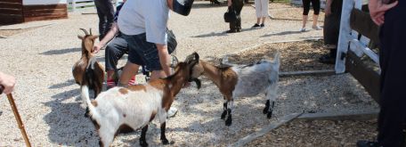 Výlet do minizoo - IMG_4859