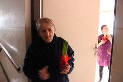 Img 9774
