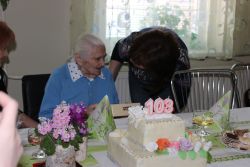 Img 0861