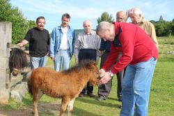 Voľnočasové aktivity našich klientov - IMG_1283